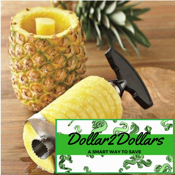 Stainless Steel Pineapple Slicer, Peeler Parer Cutter